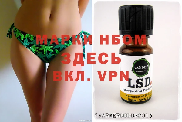 ГАЛЛЮЦИНОГЕННЫЕ ГРИБЫ Белокуриха