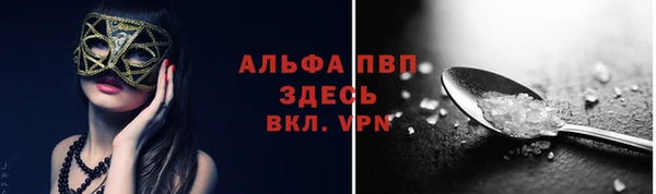 дмт Протвино