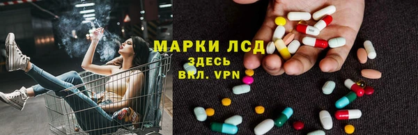 ГАЛЛЮЦИНОГЕННЫЕ ГРИБЫ Белокуриха