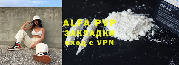 ГАЛЛЮЦИНОГЕННЫЕ ГРИБЫ Белокуриха