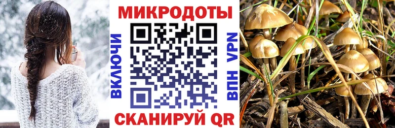 MEGA как зайти  Туймазы  Псилоцибиновые грибы Psilocybine cubensis 